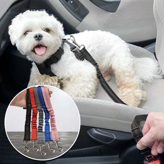 Ceinture chien voiture | Securipet - Chiendoux