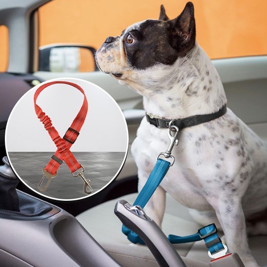 Ceinture chien voiture | Securipet - Chiendoux