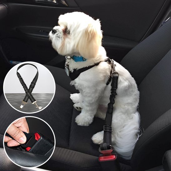 Ceinture chien voiture | Securipet - Chiendoux