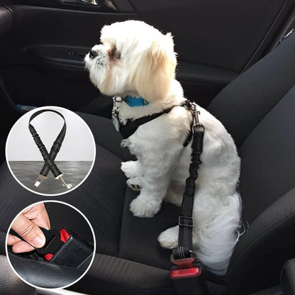Ceinture chien voiture | Securipet - Chiendoux