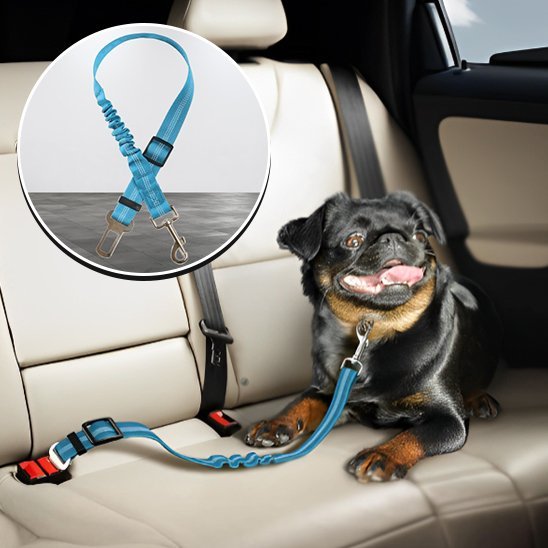 Ceinture chien voiture | Securipet - Chiendoux