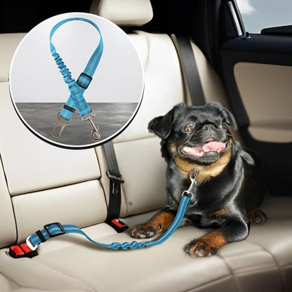 Ceinture chien voiture | Securipet - Chiendoux