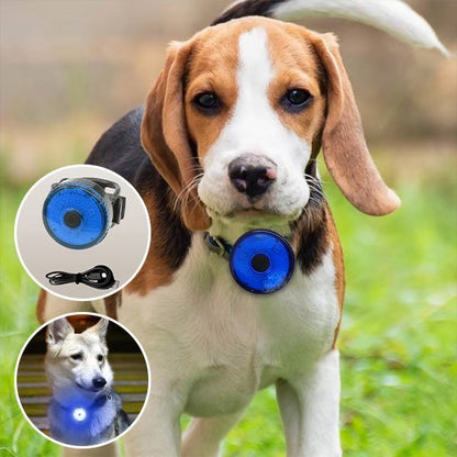 Collier chien | Résistant et Confortable - Chiendoux