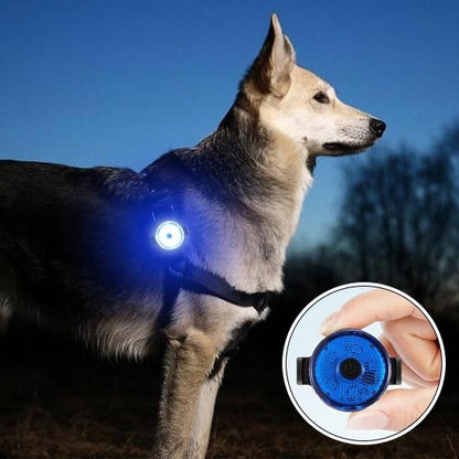 Collier chien | Résistant et Confortable - Chiendoux