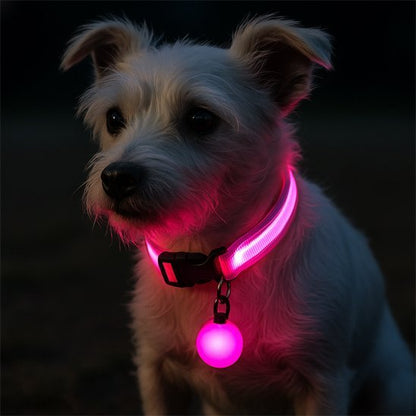 Collier lumineux pour chien | Rechargeable - Chiendoux