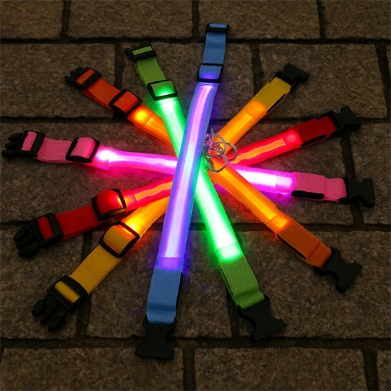 Collier lumineux pour chien | Rechargeable - Chiendoux