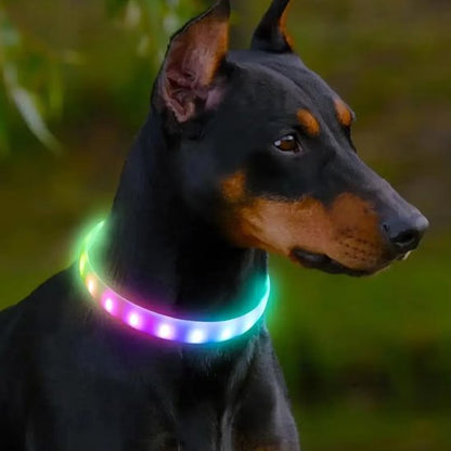Collier pour chien | Résistant et Confortable - Chiendoux