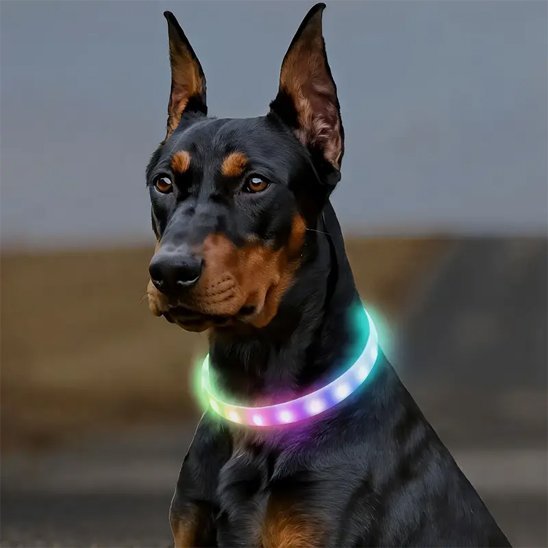 Collier pour chien | Résistant et Confortable - Chiendoux