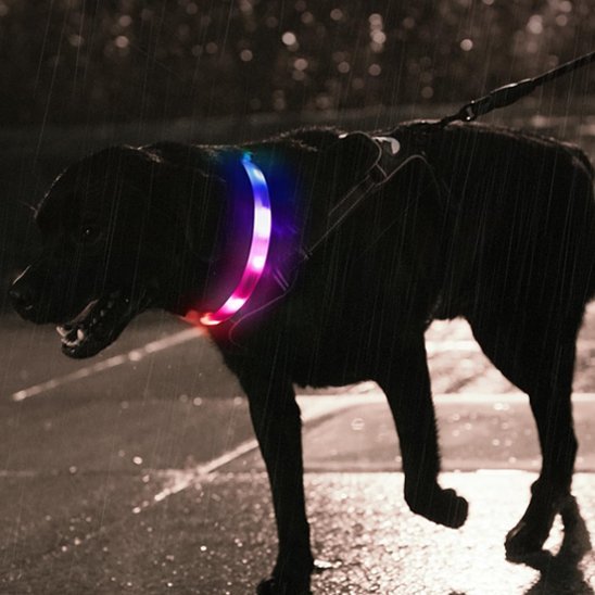 Collier pour chien | Résistant et Confortable - Chiendoux