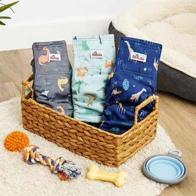 Couche pour chien | Absorbante Premium - Chiendoux