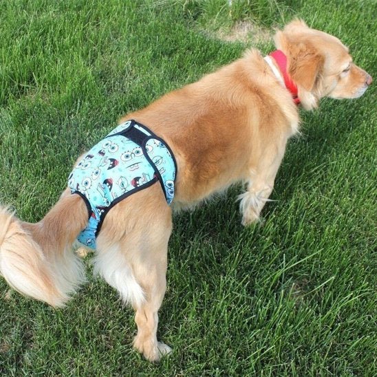 Culotte chien | Lavable et Confortable - Chiendoux