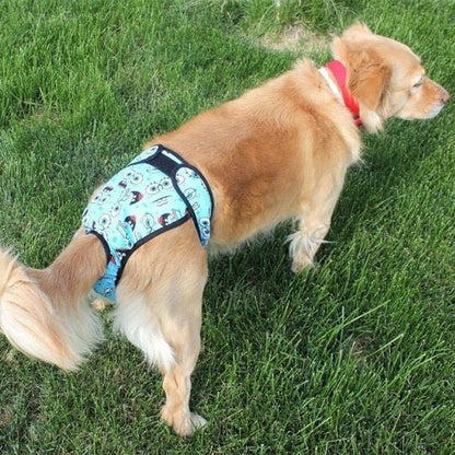 Culotte chien | Lavable et Confortable - Chiendoux