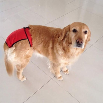 Culotte chien | Lavable et Confortable - Chiendoux
