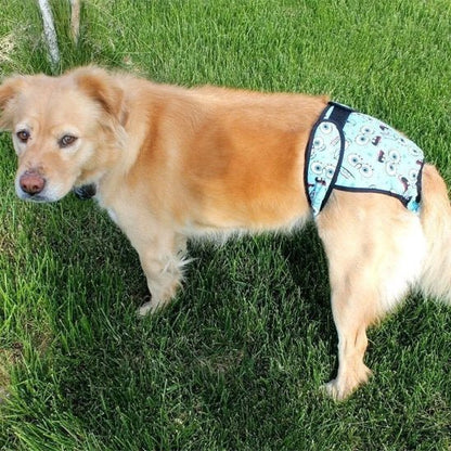 Culotte chien | Lavable et Confortable - Chiendoux