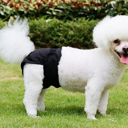 Culotte chien | Lavable et Confortable - Chiendoux