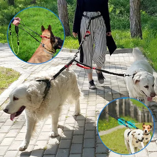 Double laisse pour chien | Sans Enchevêtrement - Chiendoux