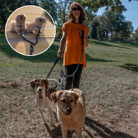 Double laisse pour chien | Sans Enchevêtrement - Chiendoux