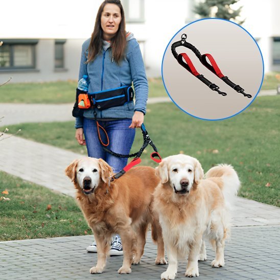 Double laisse pour chien | Sans Enchevêtrement - Chiendoux