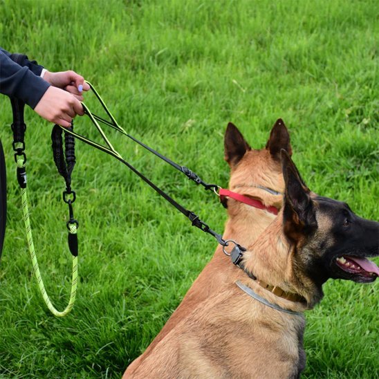 Double laisse pour chien | Sans Enchevêtrement - Chiendoux