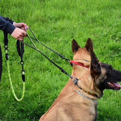 Double laisse pour chien | Sans Enchevêtrement - Chiendoux