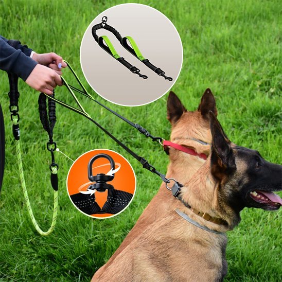 Double laisse pour chien | Sans Enchevêtrement - Chiendoux