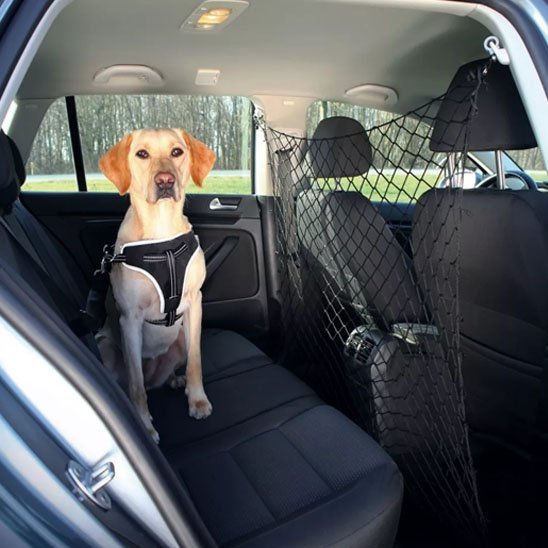 Filet pour chien voiture | SecuPaws - Chiendoux