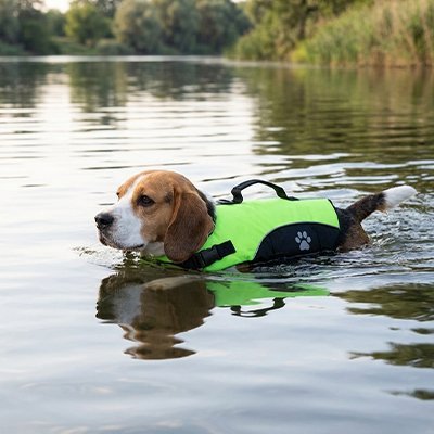 Gilet de sauvetage Chien | Flottabilité Sécurisée - Chiendoux