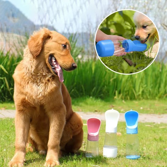 Gourde chien | Portable Anti-Fuite - Chiendoux