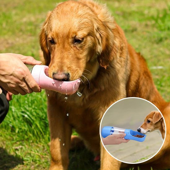 Gourde chien | Portable Anti-Fuite - Chiendoux