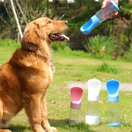 Gourde chien | Portable Anti-Fuite - Chiendoux