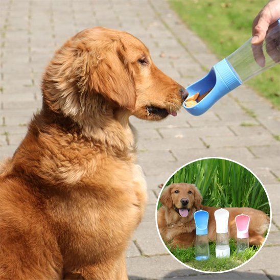 Gourde chien | Portable Anti-Fuite - Chiendoux