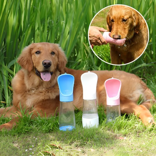 Gourde chien | Portable Anti-Fuite - Chiendoux