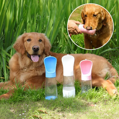 Gourde chien | Portable Anti-Fuite - Chiendoux
