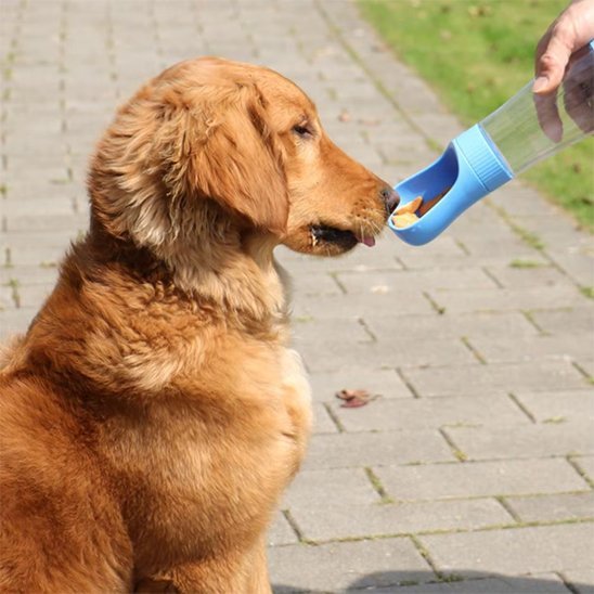 Gourde chien | Portable Anti-Fuite - Chiendoux
