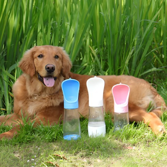 Gourde chien | Portable Anti-Fuite - Chiendoux