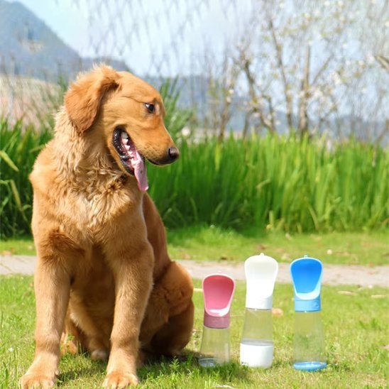 Gourde chien | Portable Anti-Fuite - Chiendoux