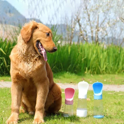 Gourde chien | Portable Anti-Fuite - Chiendoux