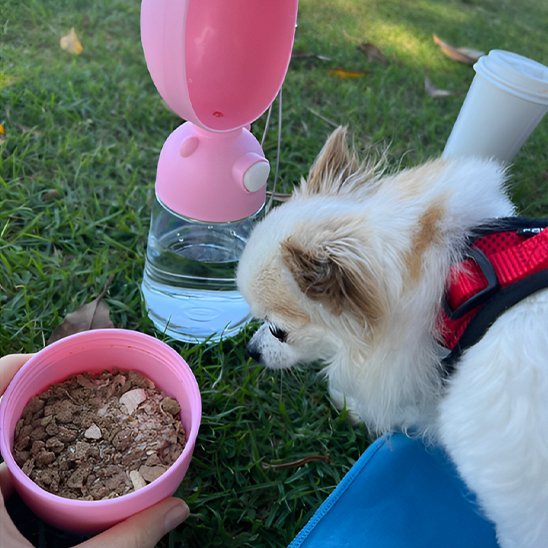 Gourde pour chien 2-en-1 | Portable Étanche | 400ml - Chiendoux