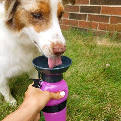 Gourde pour chien | Nomad - Chiendoux