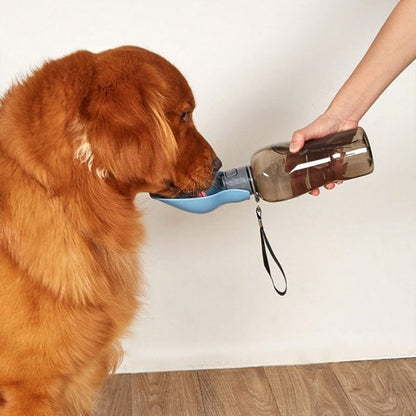 Gourde pour chien | Portable et Étanche - Chiendoux