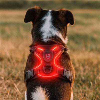 Harnais chien | Confort Resistant - Chiendoux