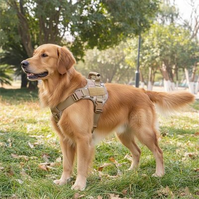 Harnais chien | Confort Sécurisé - Chiendoux
