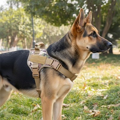 Harnais chien | Confort Sécurisé - Chiendoux