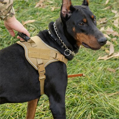 Harnais chien | Confort Sécurisé - Chiendoux