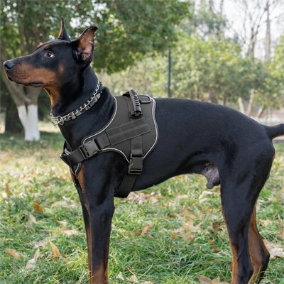 Harnais chien | Confort Sécurisé - Chiendoux