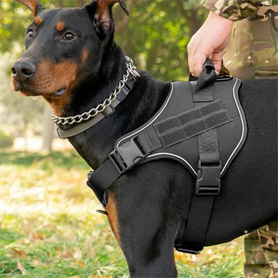 Harnais chien | Confort Sécurisé - Chiendoux