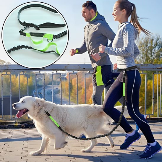 Laisse canicross | Ergonomique - Chiendoux