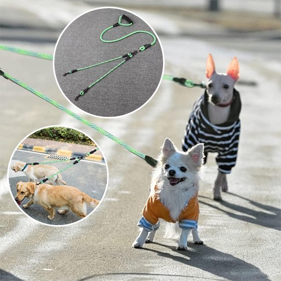 Laisse double pour chien | Confort optimal - Chiendoux