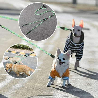 Laisse double pour chien | Confort optimal - Chiendoux