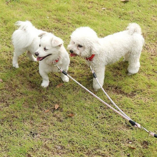 Laisse double pour chien | Confort optimal - Chiendoux